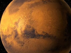 Прибулець із Землі може прожити на Марсі 280 млн років: хто цей "щасливчик"