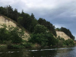 «Сморід просто пекельний»: в мережі повідомили про екологічну катастрофу на Київському водосховищі