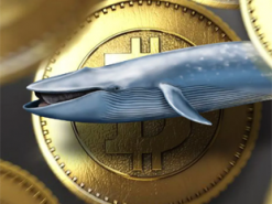 Биткоин-киты накопили $11 млрд. за последние 30 дней