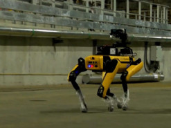 Робопсов Boston Dynamics задействуют в очистке ядерных отходов в Чернобыле