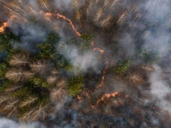 Спутники НАСА зафиксировали шлейфы от дыма лесных пожаров в районе ЧАЭС