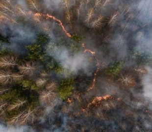 Спутники НАСА зафиксировали шлейфы от дыма лесных пожаров в районе ЧАЭС