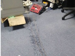  Инженер провел интернет через мокрую веревку