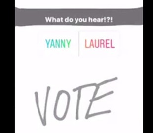 Звуковая иллюзия рассорила пользователей сети