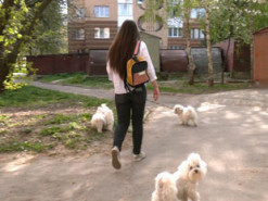 "Є нюанс, у нас чотири пси": журналістка Суспільного прихистила у Рівному знайомих з Києва та Маріуполя