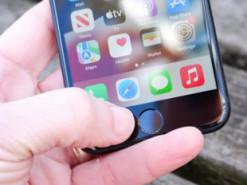 iPhone SE (2022) разобрали и сравнили с предшественником