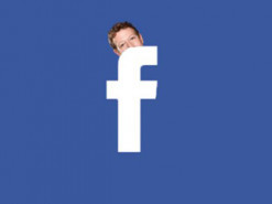 Работа мечты: сколько зарабатывают работники Facebook