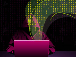 Хакер украл $790 000 у владельцев NFT-коллекции Rare Bears