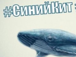        В Одесской области повесился пятиклассник, который играл в игру "Синий кит"