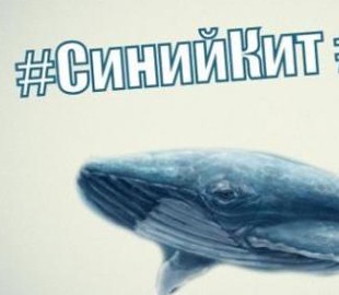        В Одесской области повесился пятиклассник, который играл в игру "Синий кит"