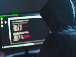 Названа главная цель кибератак в 2020 году: за чем охотятся хакеры