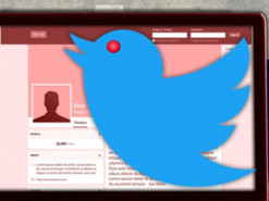 Разоблачение сети российских ботов в Twitter: опубликованы новые подробности