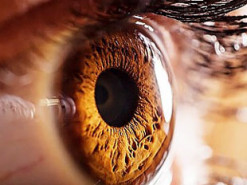 Британские ученые доказали, что компьютерные игры могут улучшить зрение