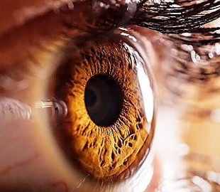 Британские ученые доказали, что компьютерные игры могут улучшить зрение