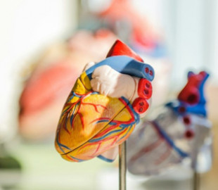 Вчені розробили ШІ-інструмент, здатний прогнозувати ризики серцевих хвороб