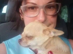 У жительницы Днепра похитили собаку и пытались продать на OLX: подробности