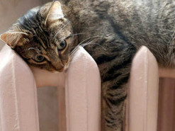 Опалювальний сезон у Києві. Шмигаль заявив, що зима буде складною