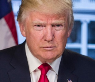 Трамп встретится с главами крупнейших интернет-компаний