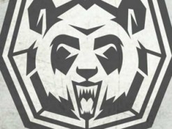 Опубликованы подробности деятельности хакерской группировки Energetic Bear