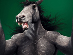 “Сільський Instagram”: італійський фотохудожник показав, як могли б виглядати тварини, якби робили селфі