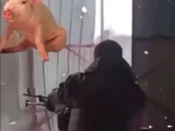 Тіктокери Кадирова показали нерівний бій з нацистським гаражем: відео не для людей зі слабкою психікою