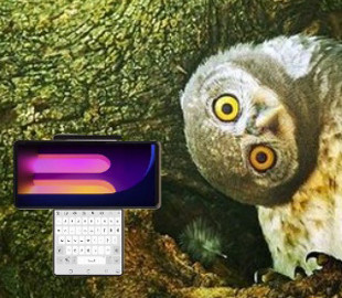 Разработчики показали, как устроен интерфейс LG Wing с поворотным экраном