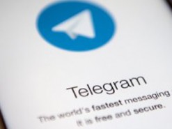 Лучше всего голубиная почта: советник Путина вызвал волну насмешек предложением заменить Telegram ICQ