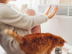 Коли ввімкнуть опалення на Київщині: що відомо