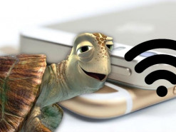 Украинские интернет-провайдеры поделились новогодними курьезами