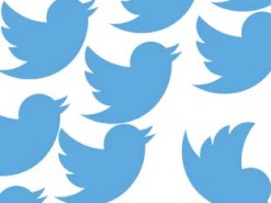 Пророссийские Twitter-аккаунты причастны к разжиганию протестов во Франции