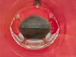 В Китае стартовала работа онлайновой базы данных о лунных образцах