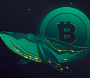 Кити перейшли від накопичення до розподілу біткоїна