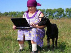 Минцифры предложило ввести субсидии на интернет