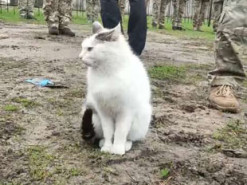 Резніков нагородив військових, у кадр вліз несподіваний гість