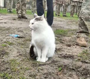 Резніков нагородив військових, у кадр вліз несподіваний гість