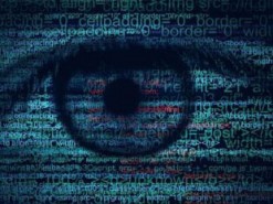 Экс-сотрудницу разведки ВВС США обвинили в передаче секретных данных Ирану