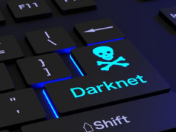 В Москве арестовали предполагаемого основателя даркнет-площадки "Гидра"