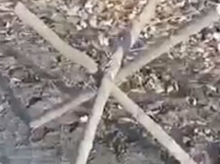 Російські «мобіки» за наказом командира спорудили «протитанкові» їжаки з нарубаних гілок