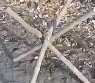 Російські «мобіки» за наказом командира спорудили «протитанкові» їжаки з нарубаних гілок