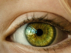 Йога для глаз: как расслабиться после рабочего дня за компьютером