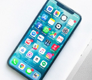 Судья в США: вырез в iPhone никого не волнует, проблема преувеличена