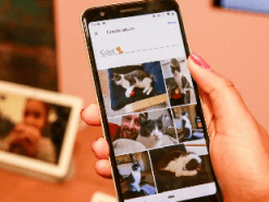 Google Фото меняет условия хранения файлов в облаке: что необходимо знать