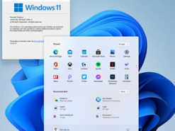 Вся ОС Windows 11 стала доступна в Сети задолго до анонса