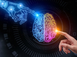 Искусственный интеллект научили забывать ненужную информацию