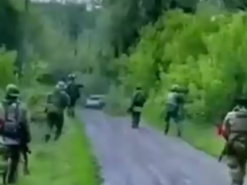 "Бій століття". У соцмережах з’явилося відео "епічної" битви кадирівців з кущами