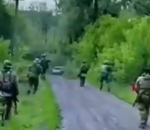 "Бій століття". У соцмережах з’явилося відео "епічної" битви кадирівців з кущами