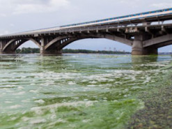 Річка Дніпро в Києві знову стала зеленою: чому не варто в ній купатися