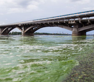 Річка Дніпро в Києві знову стала зеленою: чому не варто в ній купатися