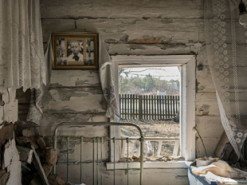 "Братня любов": у Міноборони показали вщент зруйноване окупантами село на Харківщині