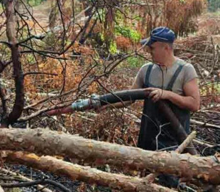 На Київщині досі гасять торф'яні пожежі: що з повітрям